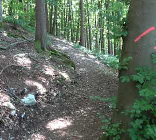 Burg Hohenerpfingen Erpfingen
