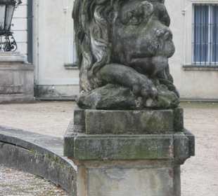 Park przy Pałacu w Nieborowie