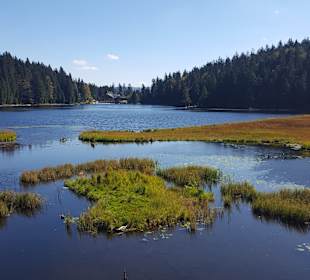 Grosser Arbersee