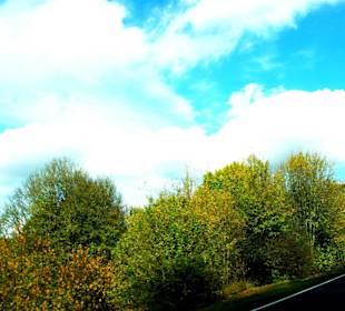 Buntes Farbenspiel der Natur