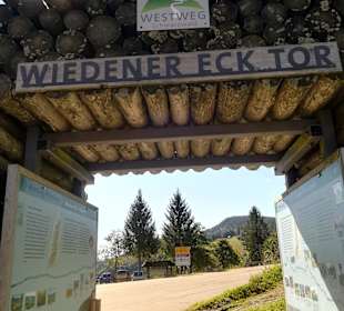 Wandern Todtnauberg