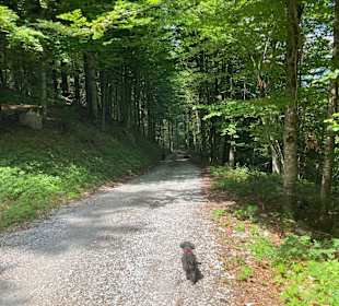 Wandern Lesachtal 