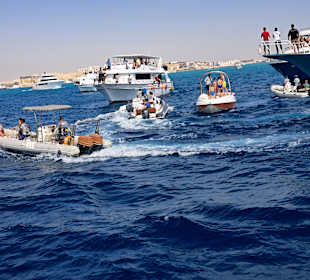 Delfin Tour Hurghada