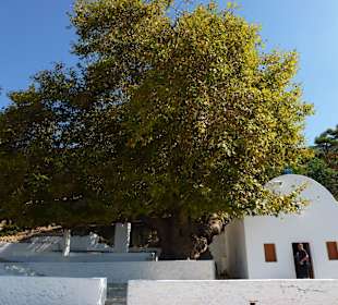 Der Süden bei Kefalos