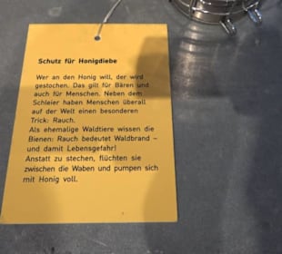 Museum Natur und Mensch