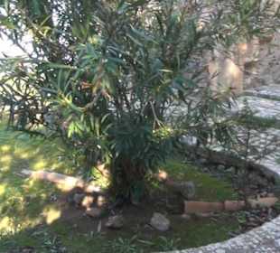 Garten "Turm der Araber"