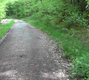 Wandertour Feuchtgebiet Schönbuch