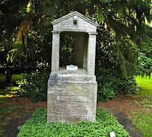 Кладбище Ольсдорф, Гамбург, 16 сентября 2013 года