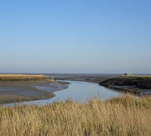 Rundgang durch den Langwarder Groden