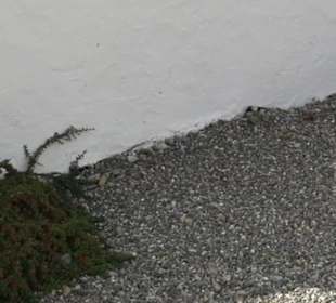 Friedhof Schnetzenhausen