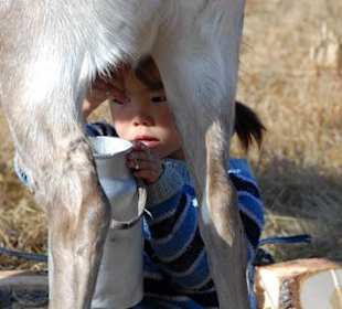 Enfant tsatan et son renne