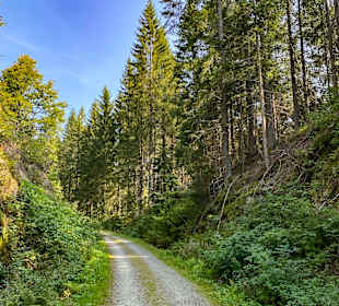 Nationalpark Bayerischer Wald