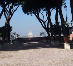 Blick vom Aventin auf St. Peter