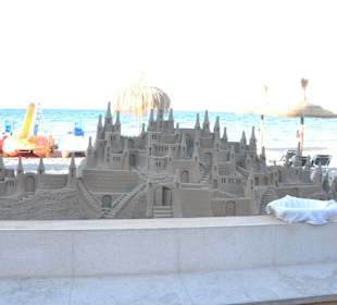 Sandburg in Can Picafort