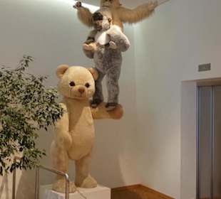 Steiff Museum
