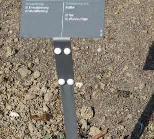 Erläuterungen der Kräuter