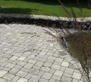 Blühendes Neresheim 2021