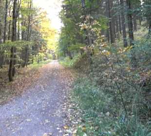 Geschichtslehrpfad Streichen