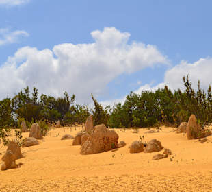 Pinnacles