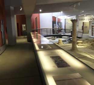 Sumelocenna-Museum