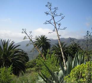 Ausblick im Benchijigua Tal