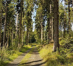 Wandern Schmallenberg