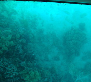 Aussicht aus dem Boden