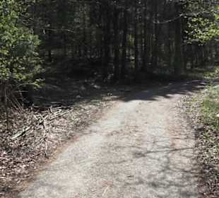 Waldlehrpfad an der Lauter