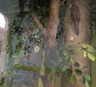 Museum Natur und Mensch