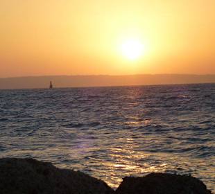 Guten Morgen bei Delfinausflug mit MO