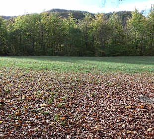 Wandertour "Rund um den Rossberg" Öschingen
