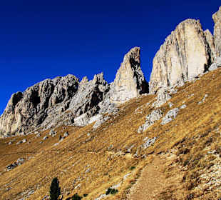 König-Friedrich-August-Weg