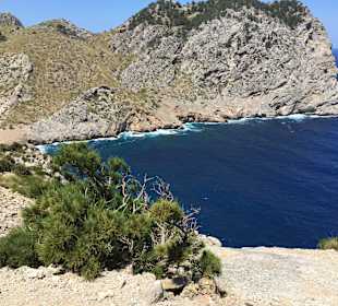 Bilder sagen mehr als Worte