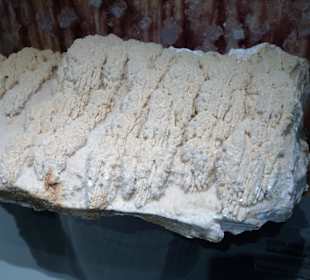 Salzkristalle aus der Verarbeitung