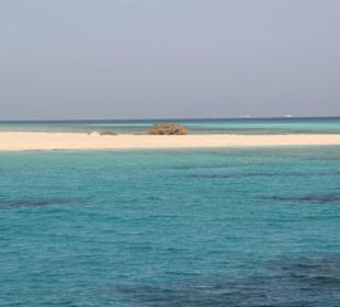 Karibik für einen Tag!