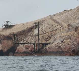 Ausflug Ballestas Inseln