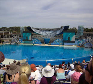 Sea World