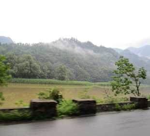 Valea Oltului / Olt-Tal 