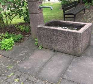 Dorfbrunnen Grüntal