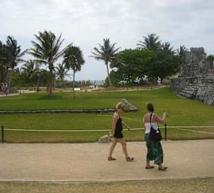 Blick auf die Parkanlage