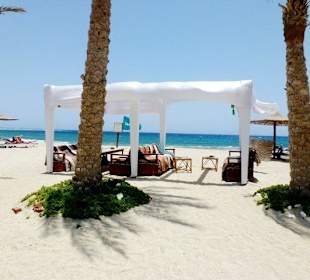 Abou dabab Marsa Alam 