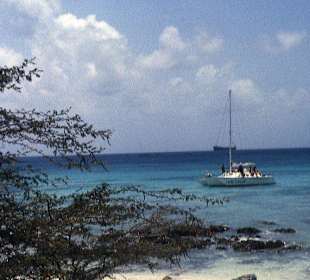 Das Wrack der "Antilia"