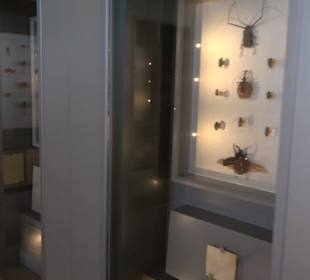 Jura-Museum
