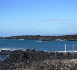 Die La Perouse Bay, Ende der Nr. 31