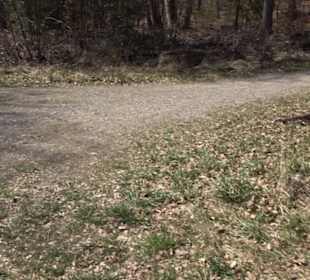 Geologischer Lehrpfad Kirnbachtal