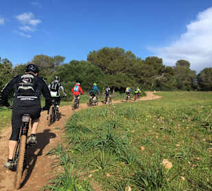 Zertifizierte Guides zeigen die schönsten Trails