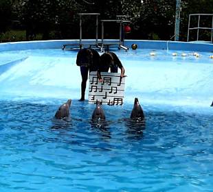 Manati Park - Show