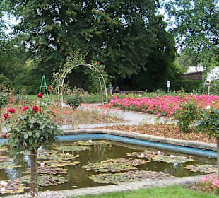 Rosengarten