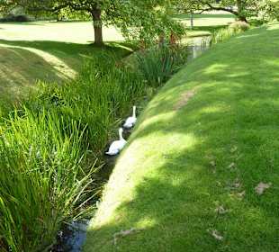 Bach im Garten