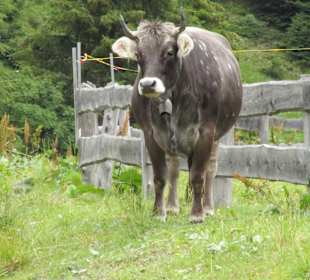 Wandern St. Leonhard